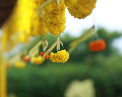 Adobe Express - file (7)